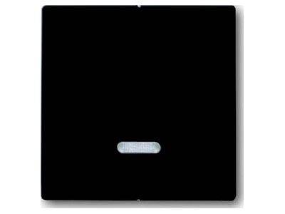 Product image Busch Jaeger 6545 81 Cover plate for dimmer grey
