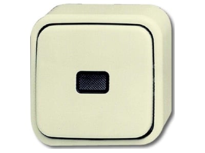 Product image Busch Jaeger 2601 6 SKAP 3 way switch  alternating switch 
