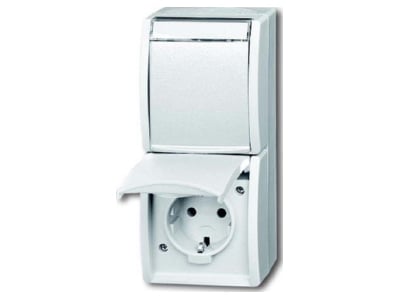 Product image Busch Jaeger 20 02 EWN 54 Socket outlet  receptacle 
