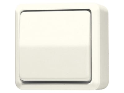 Product image Jung 607 A Intermediate switch  4 way switch 

