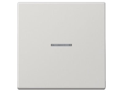Product image Jung LS 990 KO5 LG Cover plate for switch push button grey
