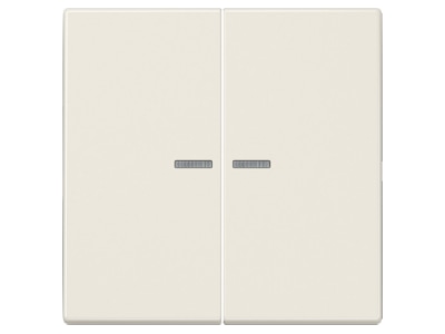Product image Jung LS 995 KO5 Cover plate for switch push button
