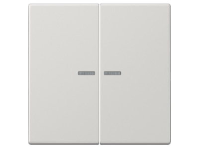 Product image Jung LS 995 KO5 LG Cover plate for switch push button grey
