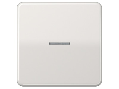 Product image Jung CD 590 KO5 LG Cover plate for switch push button grey
