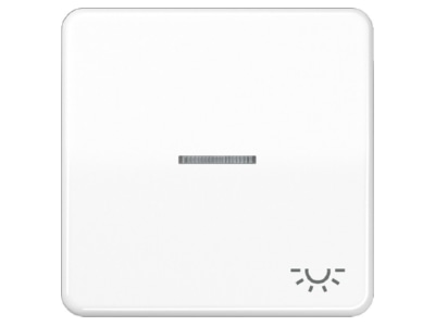 Product image Jung CD 590 KO5L WW Cover plate for switch push button white
