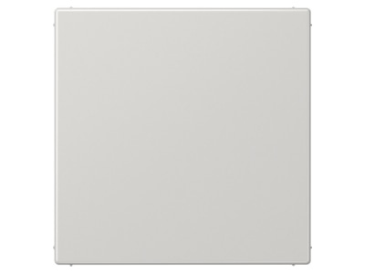 Product image Jung LS 994 B LG Cover plate for Blind plate grey
