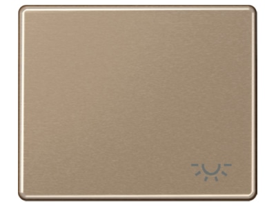 Produktbild Jung SL 590 L GB Wippe Symbol LICHT gold br fuer Taster