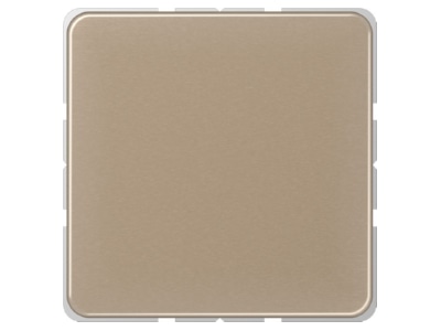 Product image Jung CD 594 0 GB Cover plate for Blind plate bronze
