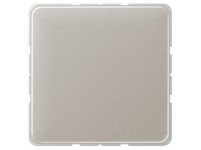 Product image Jung CD 594 0 PT Cover plate for Blind plate platinum
