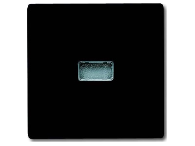 Product image Busch Jaeger 2107 35 Cover plate for switch push button
