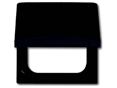 Product image Busch Jaeger 2118 GK 35 Adapter cover frame
