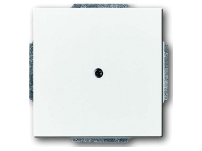 Produktbild Busch Jaeger 1742 84 Zentralscheibe dav sws Blindabd m Tragring