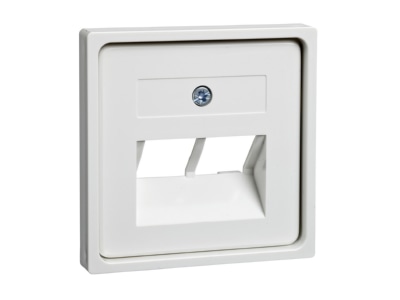 Product image 1 Elso 366414 Central cover plate UAE IAE  ISDN 
