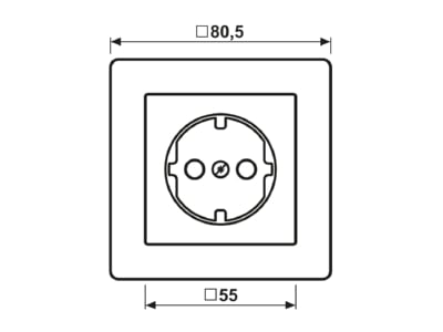 Mazeichnung Jung AS 520 PL WW Zentralplatte fuer Schukosteckdose