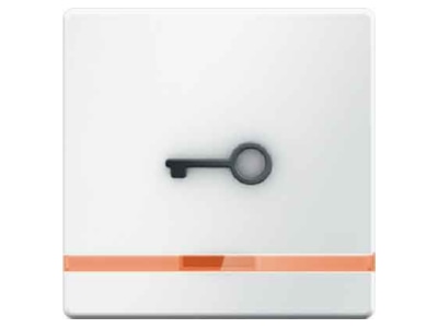 Product image 1 Berker 16516069 Cover plate for switch push button white
