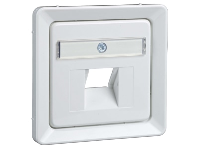 Product image 1 Elso 206524 Central cover plate UAE IAE  ISDN 
