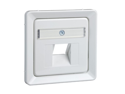 Product image 2 Elso 206524 Central cover plate UAE IAE  ISDN 