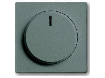 Produktbild Busch Jaeger 6540 803 102 Zentralscheibe meteor gr fuer Drehdimmer