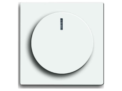 Produktbild Busch Jaeger 6540 84 102 Zentralscheibe dav stws fuer Drehdimmer