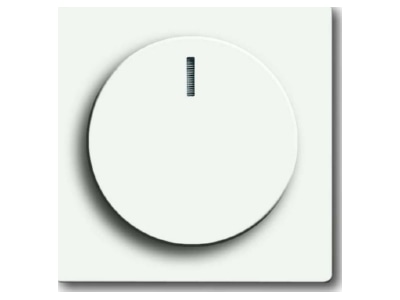 Produktbild Busch Jaeger 6540 884 102 Zentralscheibe stws mt fuer Drehdimmer