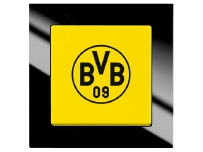 Produktbild Busch Jaeger 2000 6 UJ 01 Wechselschalter BVB Fanschalter