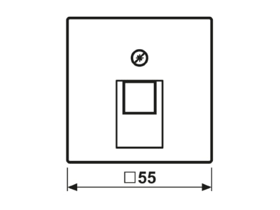 Mazeichnung Jung A 569 1 PLUA CH Abdeckung champ  f IAE UAE  Datendose