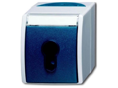 Product image Busch Jaeger 2733 SLW 53 Switch surface mounted cyan
