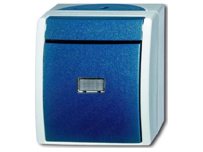 Product image Busch Jaeger 2621 W 53 206 Push button 1 change over contact cyan

