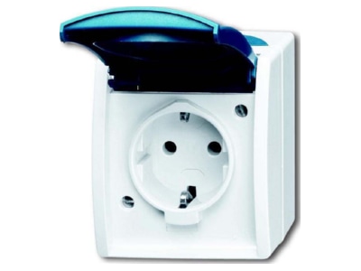 Product image Busch Jaeger 20 EW 53 Socket outlet  receptacle 
