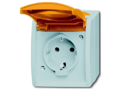 Product image Busch Jaeger 20 EWN 14 53 Socket outlet  receptacle 
