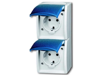 Product image Busch Jaeger 20 02 EW 53 Socket outlet  receptacle 
