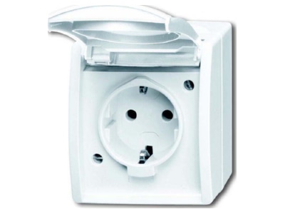 Product image Busch Jaeger 20 EW 54 Socket outlet  receptacle 
