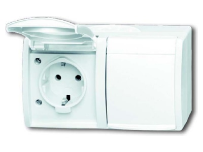Product image Busch Jaeger 20 2 EW 54 Socket outlet  receptacle 
