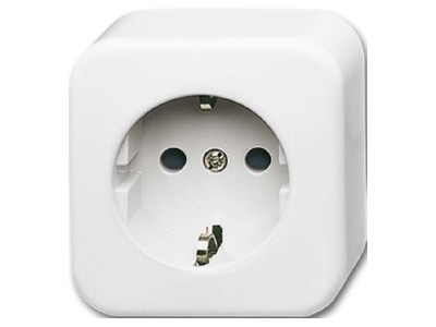 Product image Busch Jaeger 2300 EAP 11W 503 Socket outlet  receptacle 
