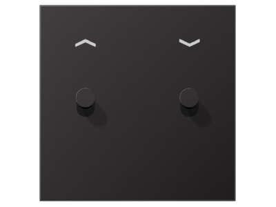 Product image Jung AL 12 5 P D K 01 Cover plate for switch push button
