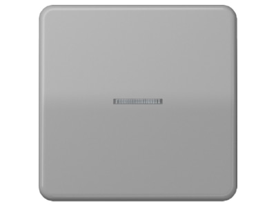 Product image Jung FM CD 1700 GR Intelligent control element grey

