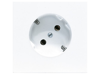Product image Jung LS 520 45 WW Socket outlet  receptacle 
