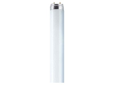 Product image LEDVANCE L 18 840 Fluorescent lamp 18W 26mm 4000K

