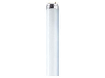 Product image LEDVANCE L 18 840 Fluorescent lamp 18W 26mm 4000K
