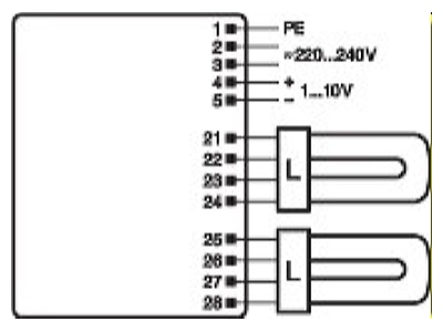 Connection diagram LEDVANCE QTi T E 2x18 42 DIM Electronic ballast 2x18   42W
