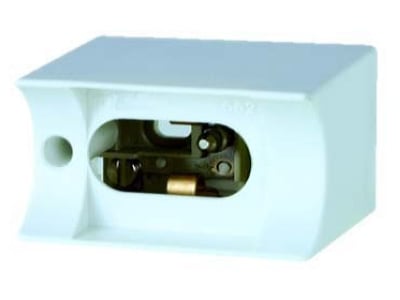 Product image Radium RAL2 HOLDER S14S Plug in lamp holder S14s   RaLEDina frames 
