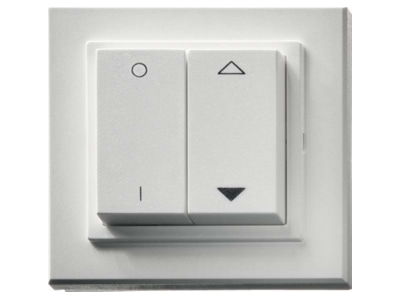 Product image 2 Maico DS RC Switch surface mounted white
