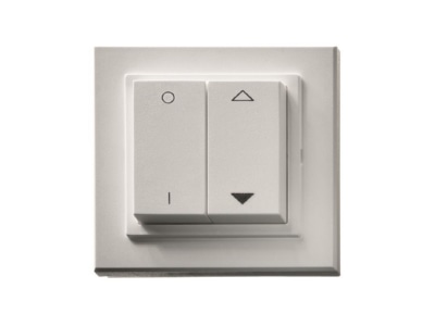 Product image 3 Maico DS RC Switch surface mounted white