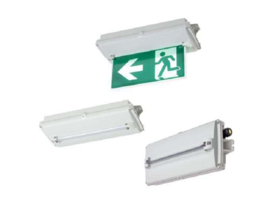 Produktbild Stahl 6109 111 0101 287804 Sicherheitsleuchte Fluchtweg unten 6109 111 0101287804