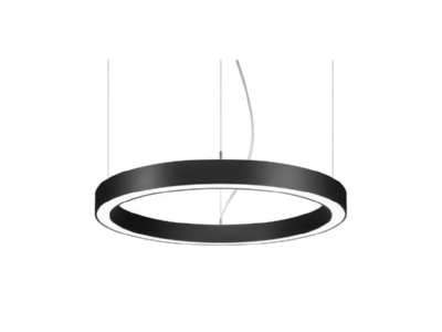 Detailansicht Brumberg 13551164 LED Pendel Ringleuchte DALI DT6 D75cm H10cm