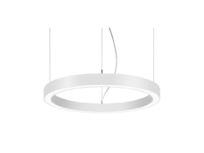 Produktbild Brumberg 13551173 LED Pendel Ringleuchte DALI DT6 D75cm H10cm