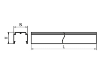 Line drawing Ridi Leuchten VL2TM 1500 5 Mounting rail 5 pin 1500mm