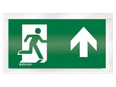 Product image ESYLUX SLX24DIS  EN10032547 Acrylic plate for emergency luminaire EN10032547
