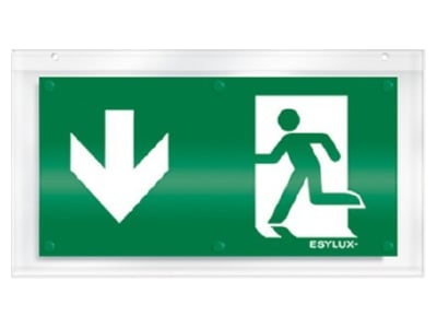 Product image ESYLUX SLX32DIS  EN10079023 Acrylic plate for emergency luminaire EN10079023
