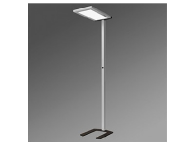 Product image front Regiolux visula   43711308175 Floor lamp 1x100W LED not exchangeable visula  43711308175
